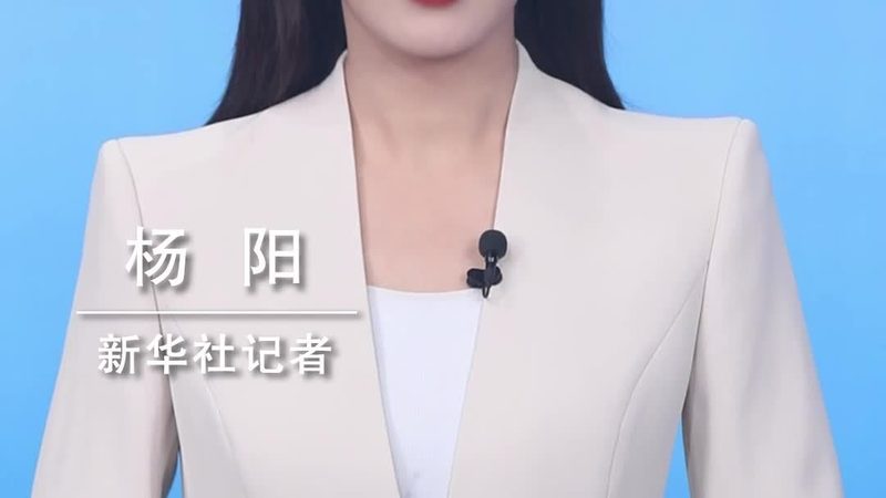 数据治理案例分享：揭秘企业高效数据管理的秘诀